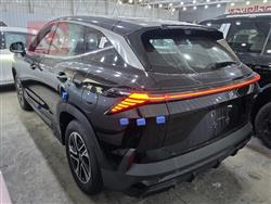 جیتۆر داشينگ